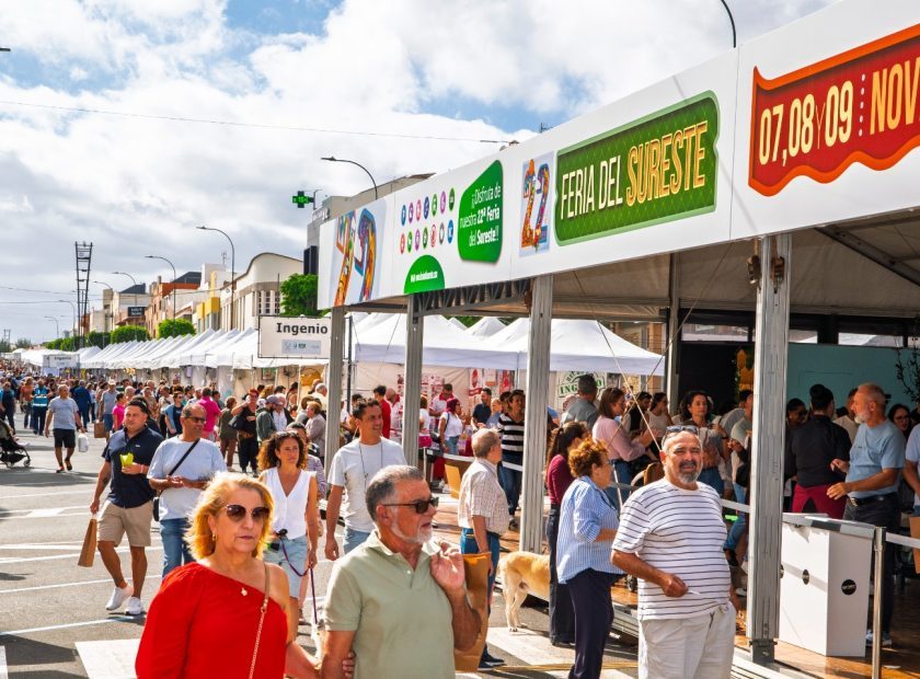 feria domingo 1